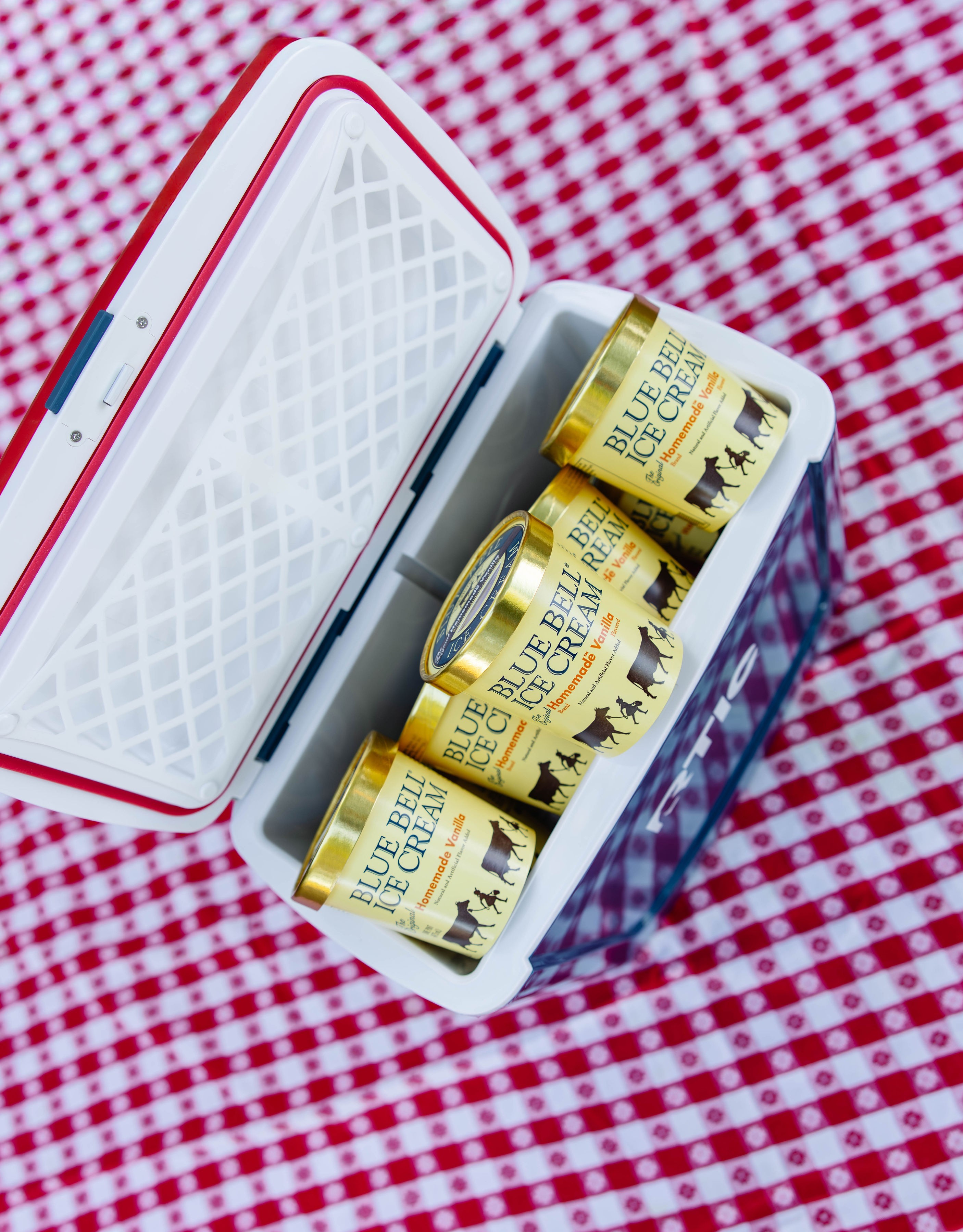 Open box with four cans of Blue Eagle beer on red and white checkered cloth.